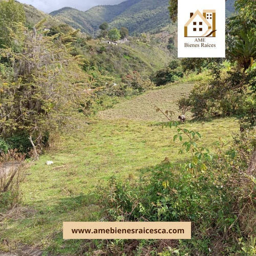 Imagen 7 de 8 de Terreno En La Mucuy Baja Tabay Merida