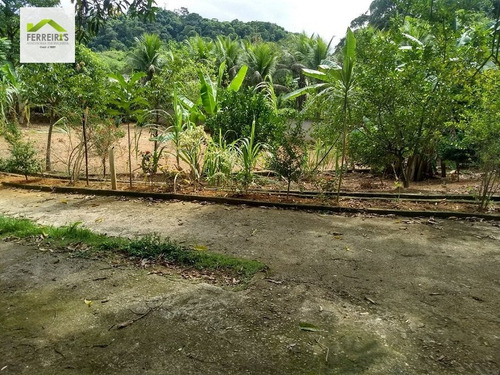 Imagem 8 de 23 de Sítio A Venda No Bairro Mantiquira Em Duque De Caxias - Rj. - 268-1