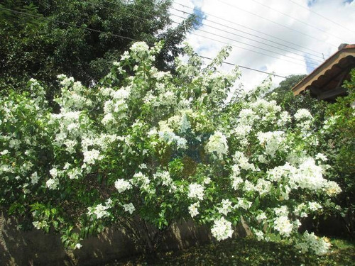 Chácara Residencial Em Condomínio Fechado À Venda, Bom Jesus Dos Perdões. - Ch0023