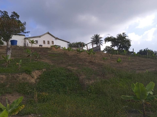 Imagen 17 de 23 de Casa Campo En El Pueblito Andino