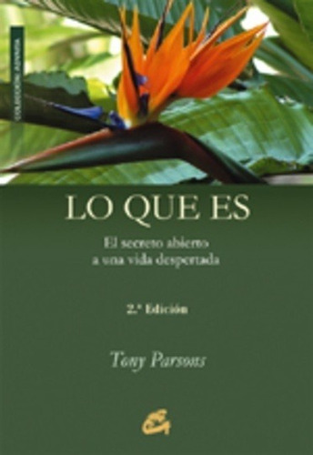 Lo Que Es, Parsons Tony, Gaia