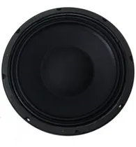 Comprar Parlante Woofer Neodimio 12 Pulgadas 300w Rms Moon Pneo12
