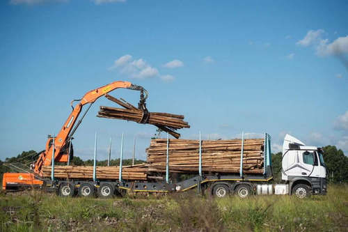 Remolque Forestal Afrit 48 Toneladas