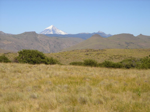 Imagen 17 de 30 de Campo En Venta Zona Alumine, Neuquén