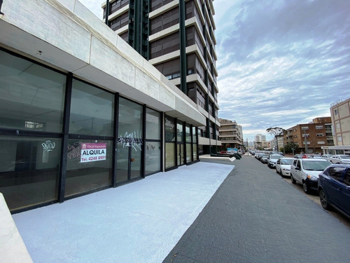 Alquila Excelente Local Comercial!!!- Ref: 255