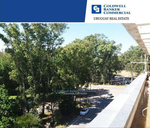 Oficina Avenida De Las Américas Alquiler