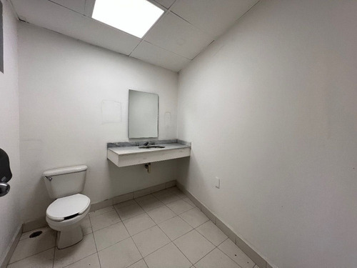 Renta Local Comercial U Oficina En Piso 1 De 238 M² Lago Rodolfo Granada Polanco
