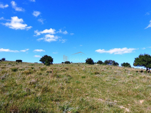 17 Has, Vistas Serranas, Monte Nativo, Arroyo Y A 1 Hora De Mdeo...- Ref: 26461