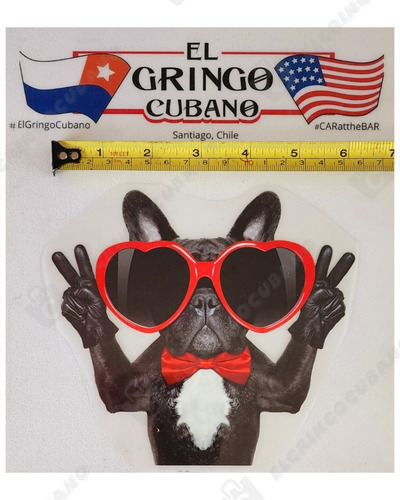 Parche Vinilo Termoadhesivo Diferente Diseños De Mascotas