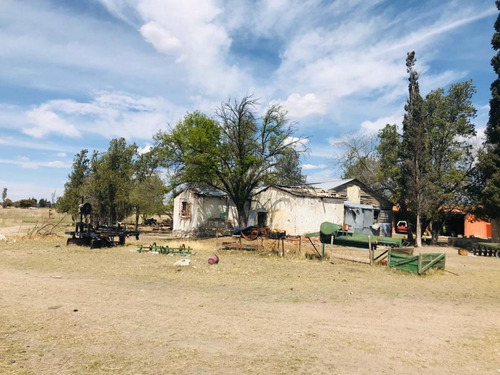 Imagen 5 de 29 de Terreno En Venta 20 Hectareas A 5 Min Boulevard Francisco Villa
