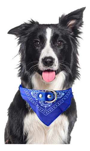 Collar Para Perro Gato Pañuelo Paliacate Tamaños Er Color