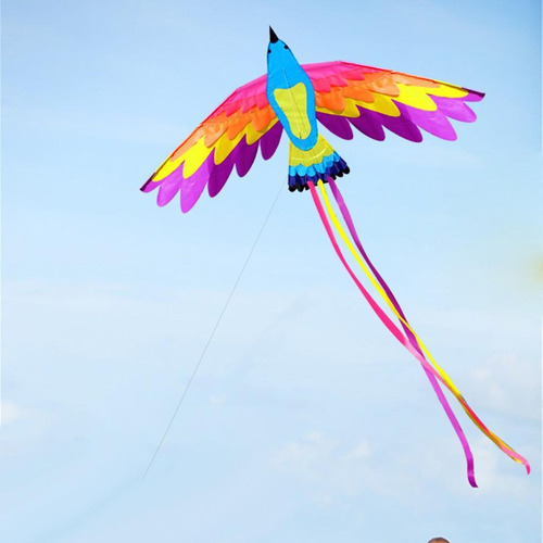 Cometa 3d Phoenix For Niños Fácil De Volar Juegos Y