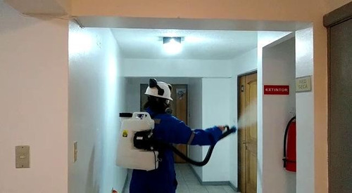 Imagen 6 de 6 de Fumigación Y Control De Plagas