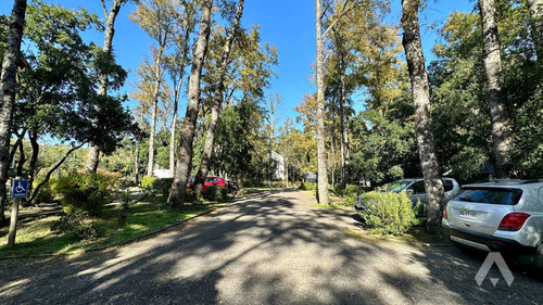 Departamento Amoblado En Arriendo En Pucón (83826)