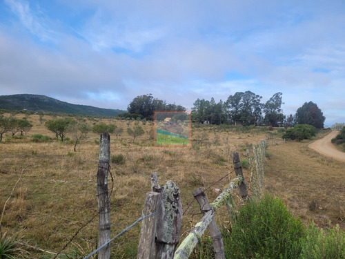 Imagen 28 de 30 de 79 Hás Campo Criador Y Serrano En Corte De La Leña