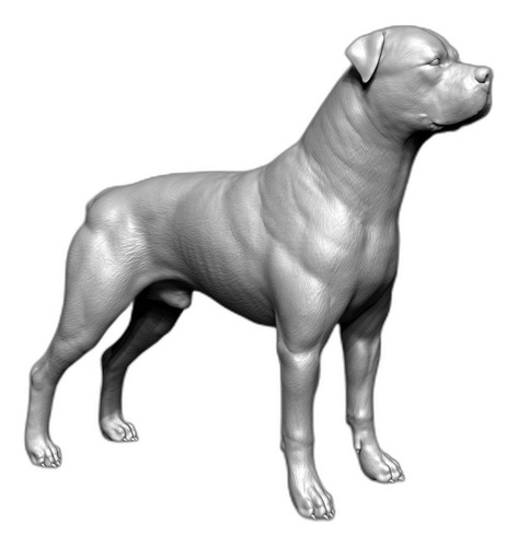 Rottweiler De Lujo Para Amantes De Los Perros