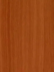 Lámina Decorativa Haya Amazona