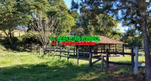 Imagem 13 de 15 de Sítio - Pousada - Haras - Em Pouso Alto / São Lourenço - Mg - 777