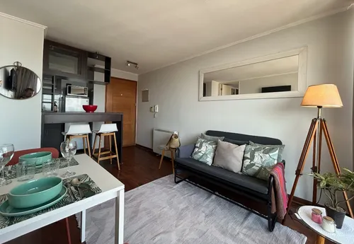 Arriendo Departamento Moderno Y Luminoso Santiago Centro