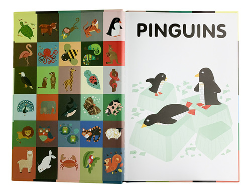 Meu Livrão De Animais, De Really Decent Books. Editora Girassol, Capa Dura Em Português, 2023