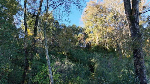 Campo En Venta Inversionista Pitrufquen (104143)