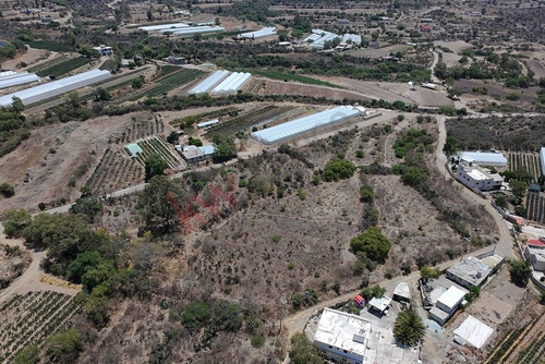 Terreno En Venta El Arenal/la Moraleña Zona De Altra Producción De Invernaderos