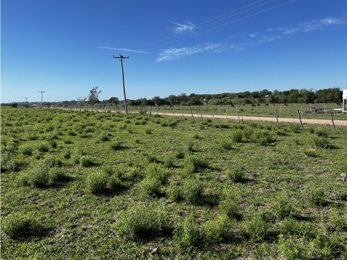 Vendo Terreno De 1,5 Hectárea En San Justo, Entre Ríos.