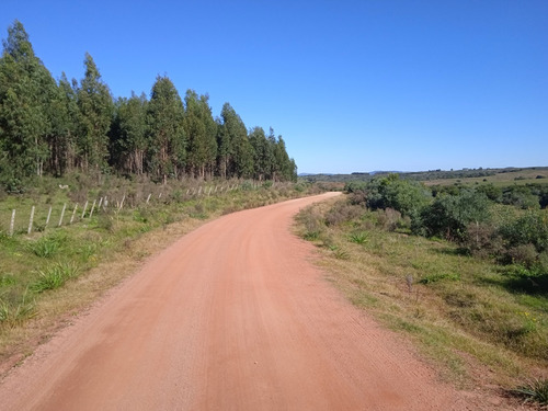 Campo De 43 Hectáreas En Las Cañas