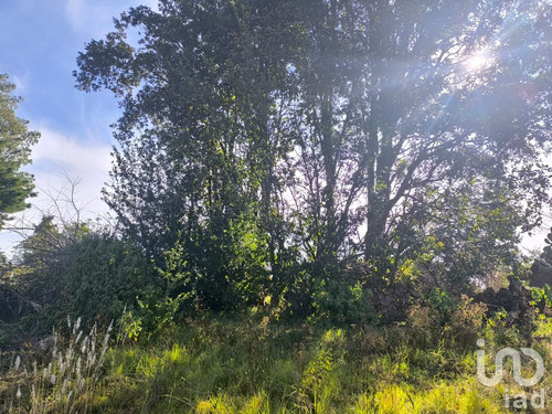 Venta Terreno 0 Ambiente La Mora