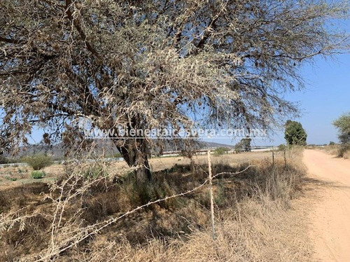 Imagen 8 de 9 de Terreno En Venta En Tequisquiapan Roman