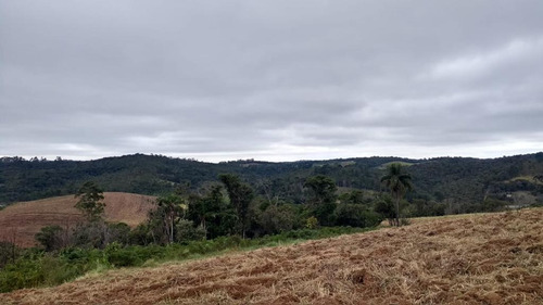 (k.a) 500m² Em Sp - Topografia Plana 500m²