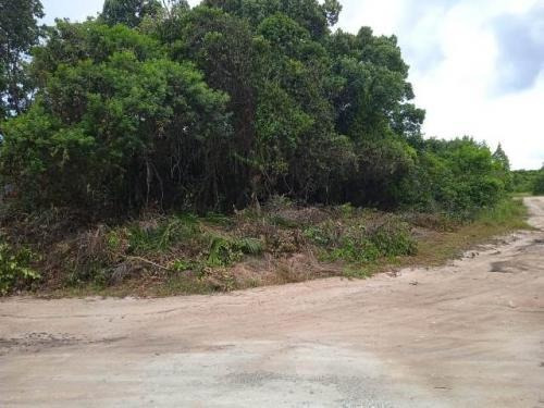 Terreno Medindo 350 Metros Em Itanhaém Lado Praia - 7781 Npc
