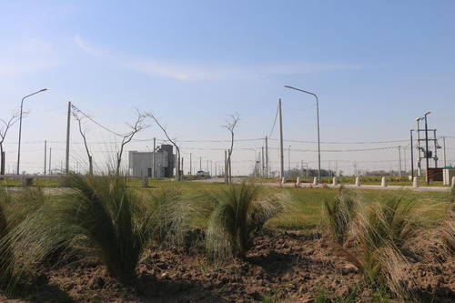 Venta Terreno De 300m2 En Ecovida, Villa Amelia