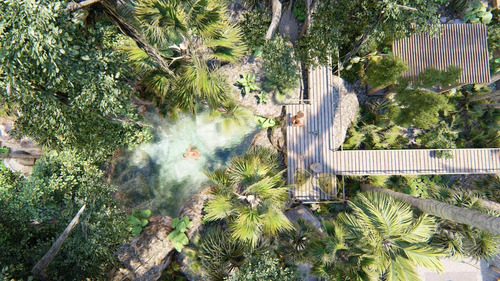 Imagen 6 de 25 de Eco De Lujo Casas En Preventa Con Cenote, 3 Minutos De La Playa Por Tulum (633)