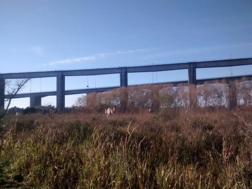 Imagen 7 de 11 de 9,70 Has De Isla, Con Acceso Vehicular Y Costa Al Parana Guazu