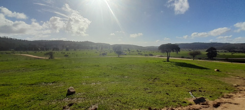 Imagen 16 de 22 de Hermosas Parcelas En Fundo La Quirigua Vichuquén