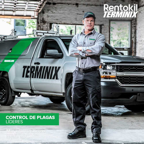 Rentokil-terminix Control De Plagas
