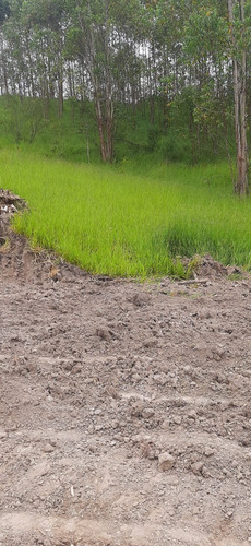 Imagem 9 de 15 de F10; Terreno Com Visao Maravilhosa