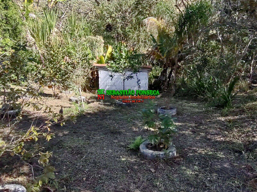 Imagem 11 de 15 de Chácara Em Santa Branca Com Nascente E Tanque De Peixe - 2113