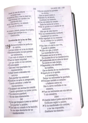 Biblia Rvr60 Letra Grande Mayúscula Tapa Dura Beige