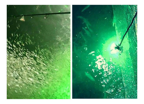 Luz Led De Pesca Nocturna Sumergible Verde 12v Con Cable De