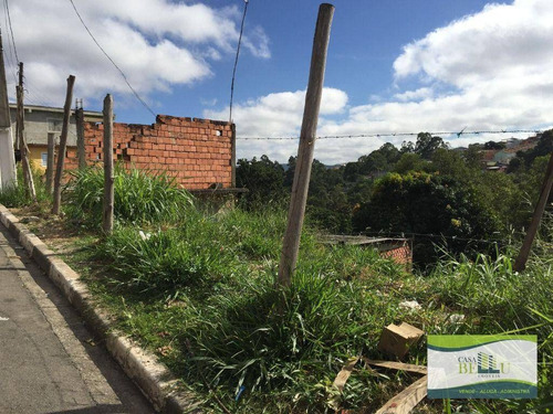 Imagem 6 de 11 de Terreno À Venda, 505 M² Por R$ 55.000,00 - Estância Lago Azul - Franco Da Rocha/sp - Te0110