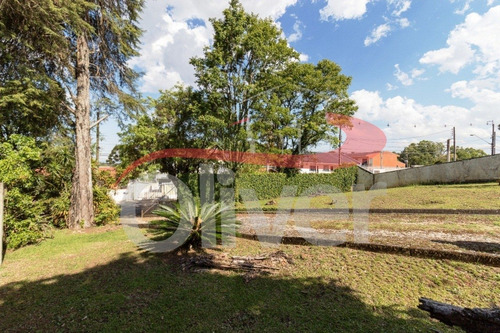Imagem 8 de 30 de Terreno Em Barreirinha, Curitiba, Paraná - Te00033 - 33491718