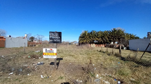 Imagen 5 de 12 de Lote Venta Santa Teresita Calle 47 Entre 11 Y 12