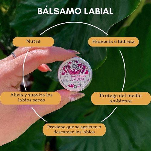 Bálsamo Labial Hidratante De Labios Con Aceite De Coco Tql