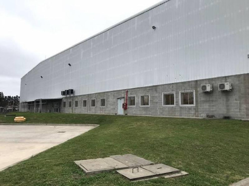 Imagen 8 de 13 de Alquiler De Deposito 4.000 M2 - Tortuguitas