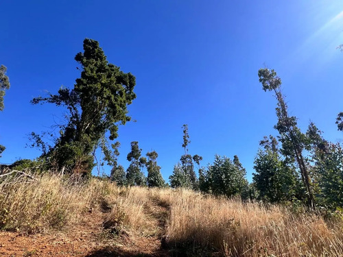 Proyecto Monte Pradera