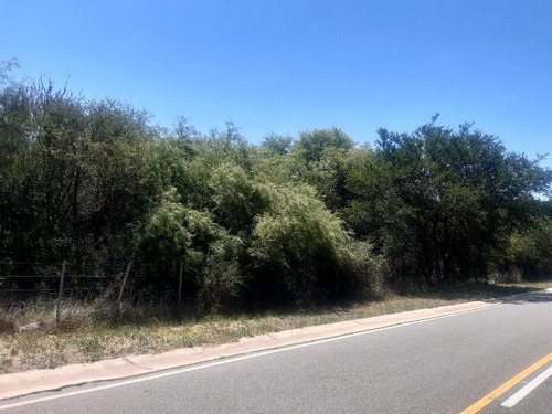 Imagen 6 de 23 de 76 Hectareas En Venta En El Corazon De Conlara, Traslasierras!!