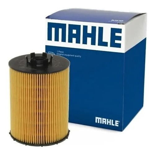 Filtro Aceite Para Bmw 550i 05/10 Original Mahle