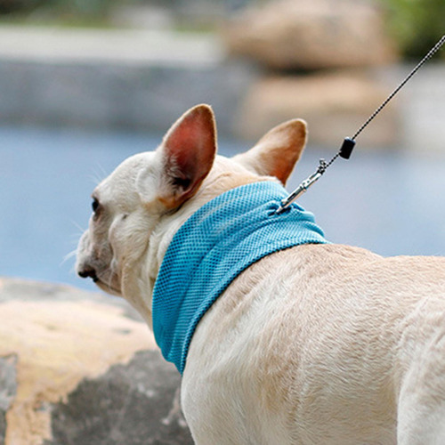 . Bandana Para Perros, Collar Para Mascotas, Suministros L